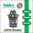 MOTOR VHS  300,00HP 1800RPM US MOTORS HO300P2SLHX / HR38 3PH 460V 4P SF 1,15 6W PWS 447TPA WP1 XHT NRR CI