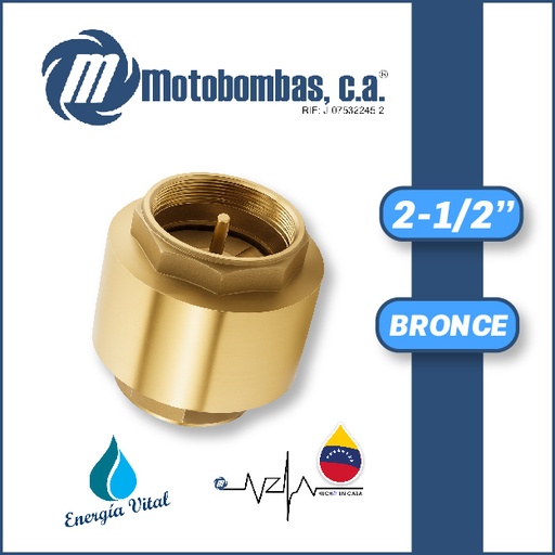 [4205VAR-8200291081] VALVULA  RETENCION  VERTICAL SERIE VAR BRONCE MOD.  2-1/2"