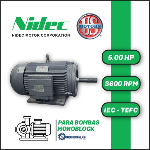 [7705USM-T25US005023T0100L-0AI1] MOTOR HORIZONTAL TF JM2P   5,00HP 3600RPM US MOTORS MNCC4E1M / CCD116S 220-440V 2P 3PH SF 1,15 DOL 100L-140TF JM2P IEC-IE2 CI