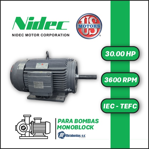 [7705USM-T230] MOTOR HORIZONTAL TF JM2P  30,00HP 3600RPM US MOTORS MNCC22E1M / CCD140S 220-440V 2P 3PH SF 1,15 DOL 160L-34D IEC-IE2 CI