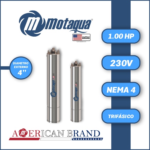 [7505MTS-2T0010J4ORSB3S-AS30] MOTOR SUMERGIBLE TF MOTAQUA MTS DSM4 4" T4ORSF10J   1,00HP 3PH/230V/60HZ/2P 3600RPM 3W DOL NEMA4 OF-R  450LBF