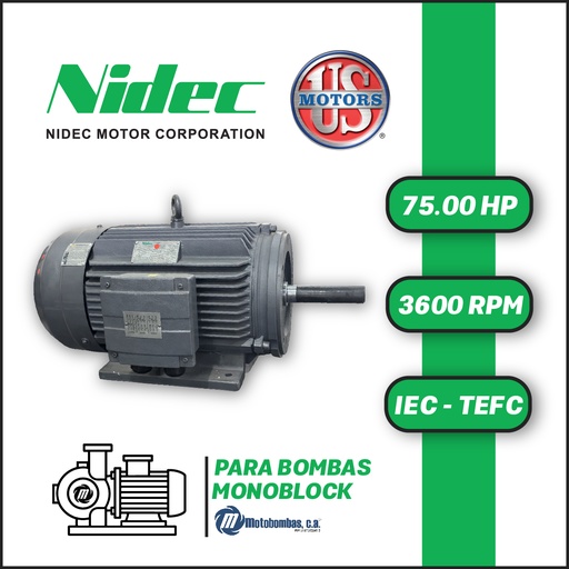 [7705USM-T275HP] MOTOR HORIZONTAL TF JM2P  75,00HP 3600RPM US MOTORS 225M-360 TF JM2P / CCD127S 3PH 220-440V 2P SF 1,15 9W IEC