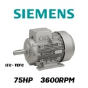 MOTOR HORIZONTAL  75,00HP 3600RPM SIEMENS MS230750 3PH 220-440V 2P SF 1,15 225M 55,00KW